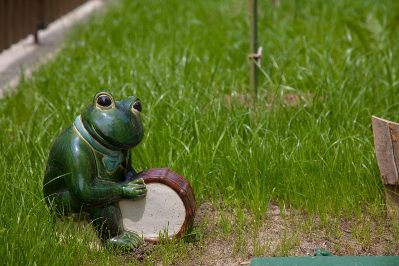 Vila Trnoruzica トゥヘイ エクステリア 写真